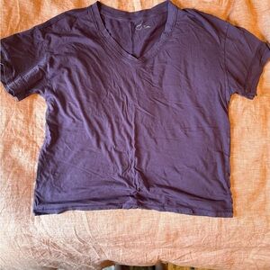 aerie Women's Short Sleeve V-Neck Tee in Dark Purple